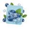 Heidelbeere ICE
