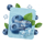 Heidelbeere ICE